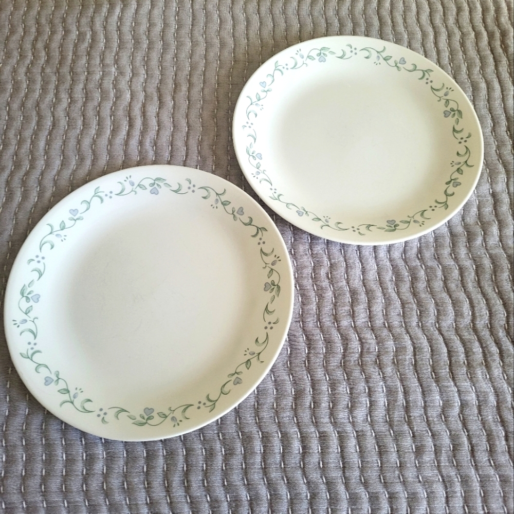Corelle Corning Country Cottage Floral Dinner Plates, 10.25 Inch Set Of 2